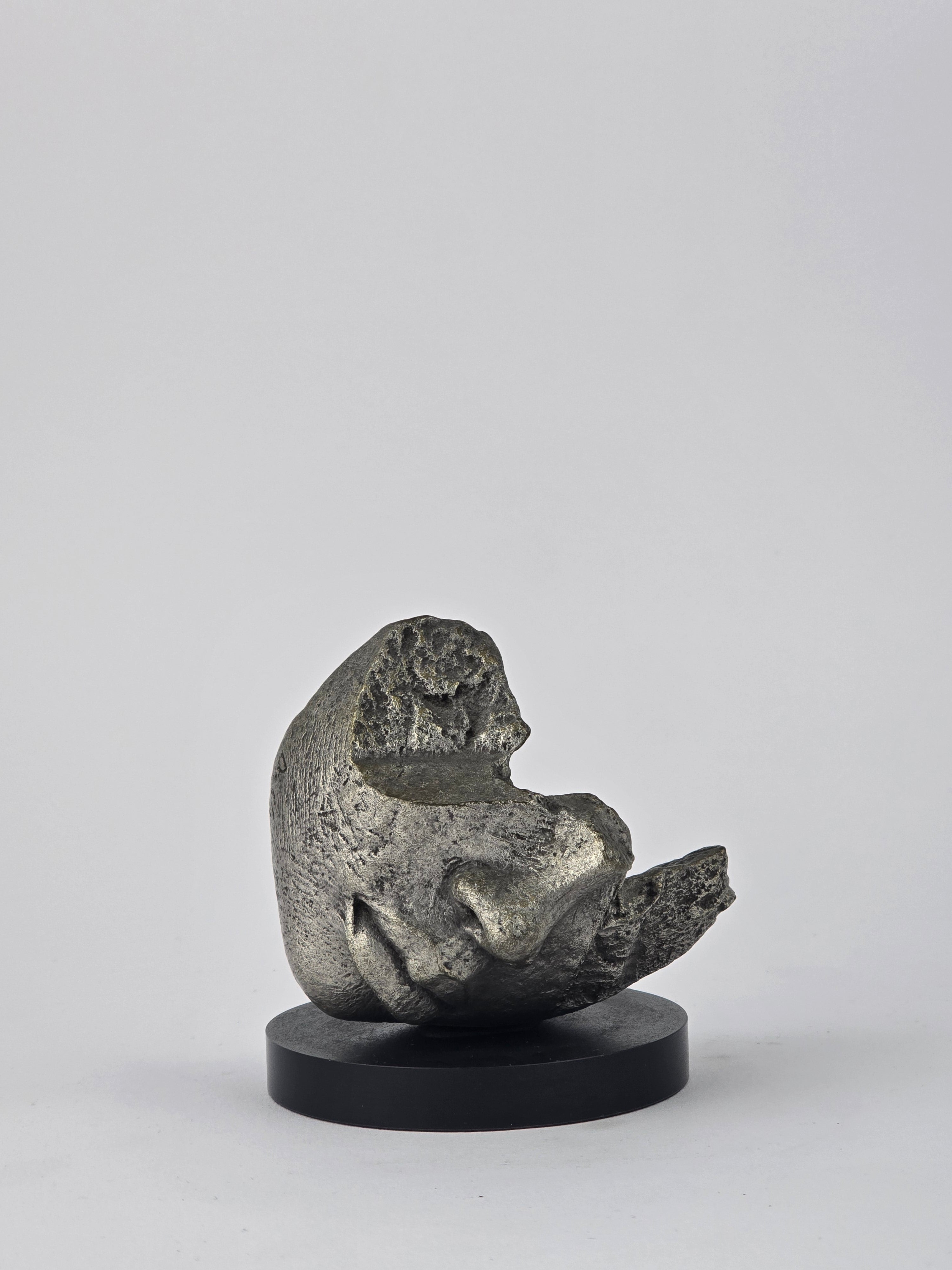 MINIATURE MOUTH FRAGMENTS