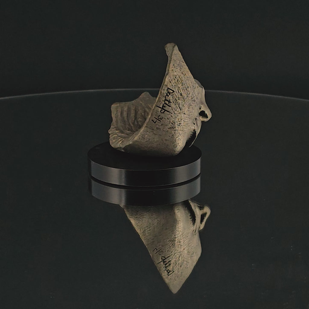 MOUTH FRAGMENT 21